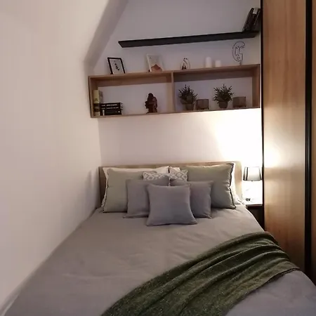 Good Vibes * Divčibare