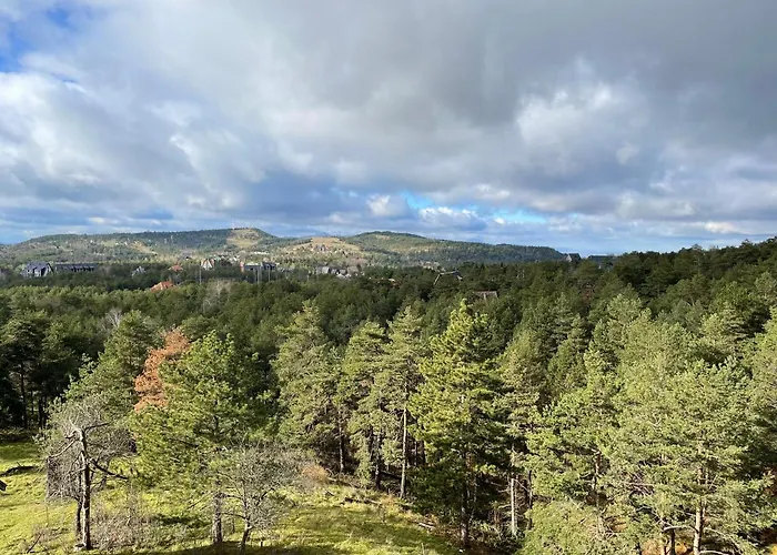 Good Vibes Apartament *